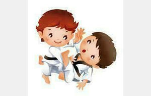 Tournoi interclubs du Shogun Charvieu (38)